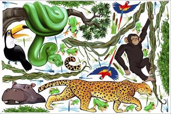 jungle exploration wall decals/stickers print view